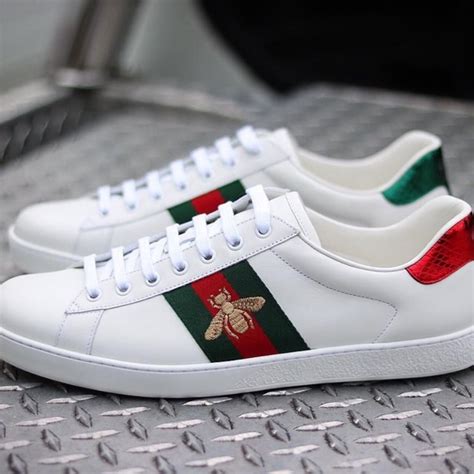 sneakers men's gucci shoes|men's Gucci sneakers on sale.